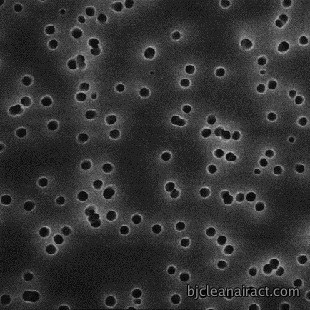 https://msimg.bioon.com/bionline/goods-no-pic.png