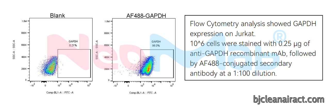Jurkat 细胞:10⁶ cells 用 0.25 μg NM0003 染色,AF488 二抗 1:100 稀释,可见 GAPDH 胞内信号阳性峰