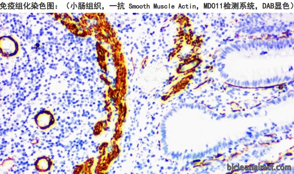 https://msimg.bioon.com/bionline/goods-no-pic.png
