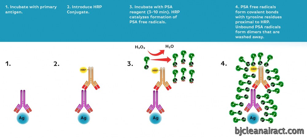 https://img.medsci.cn/e73eefcea40976357f460123cbf1e819c54e5106c9b457225be13b1cbc991aff.png