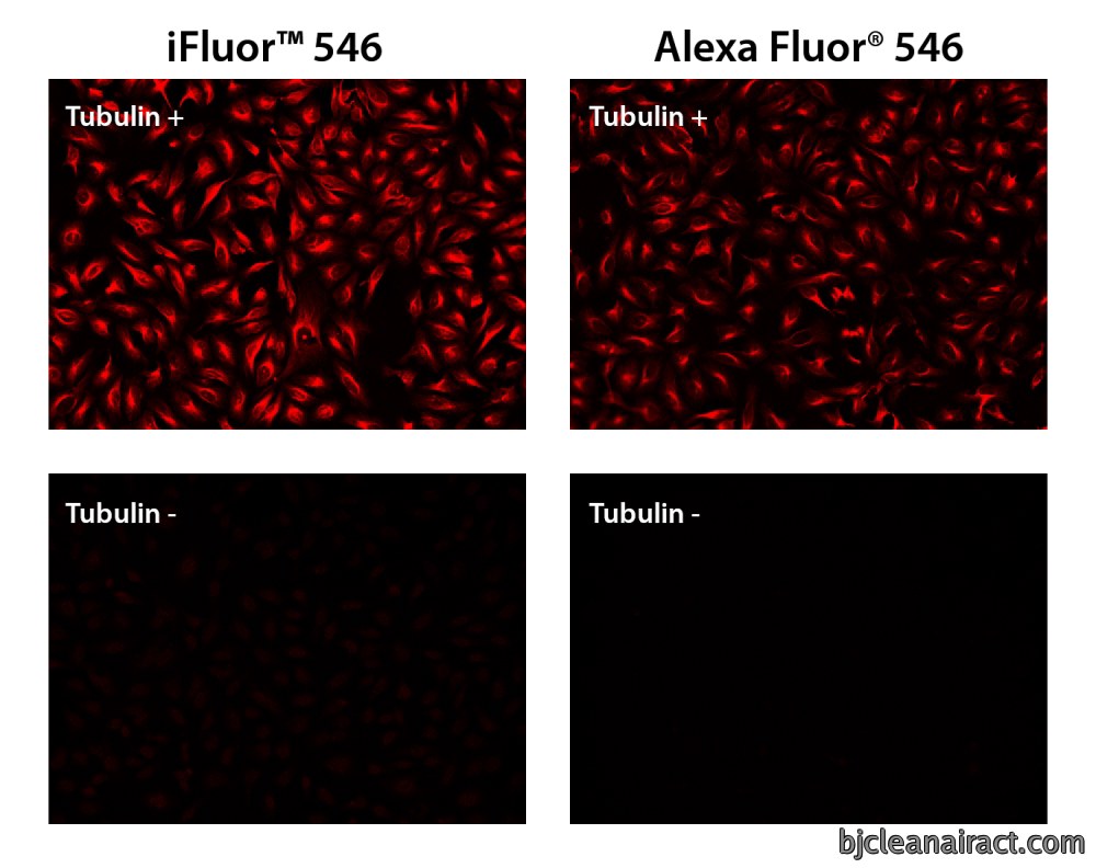 https://img.medsci.cn/e73eefcea40976357f460123cbf1e819c54e5106c9b457225be13b1cbc991aff.png