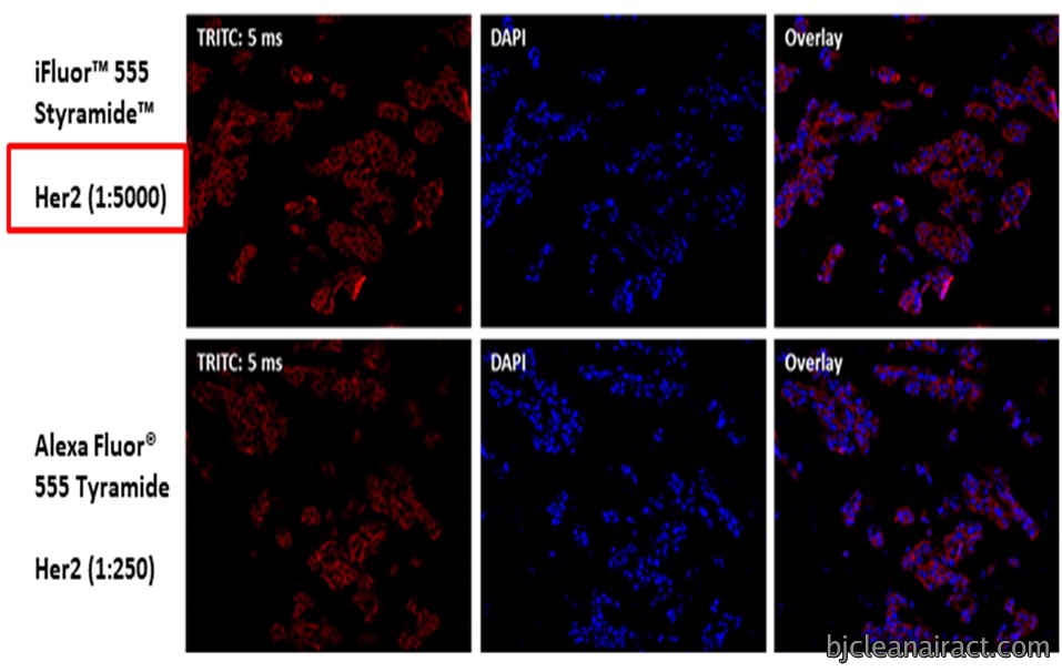 https://img.medsci.cn/e73eefcea40976357f460123cbf1e819c54e5106c9b457225be13b1cbc991aff.png