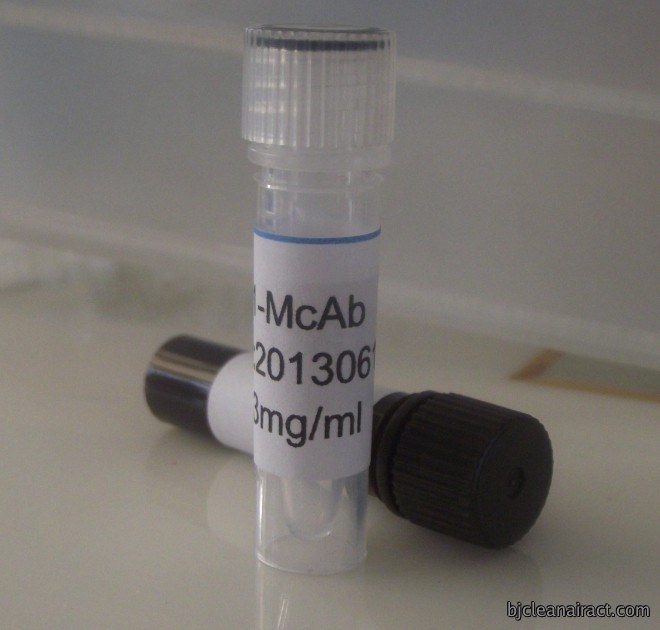 鼠抗人绒毛膜促性腺激素单克隆抗体